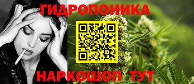эйфоретик Кандалакша
