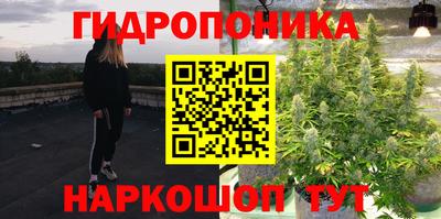 эйфоретик Кандалакша